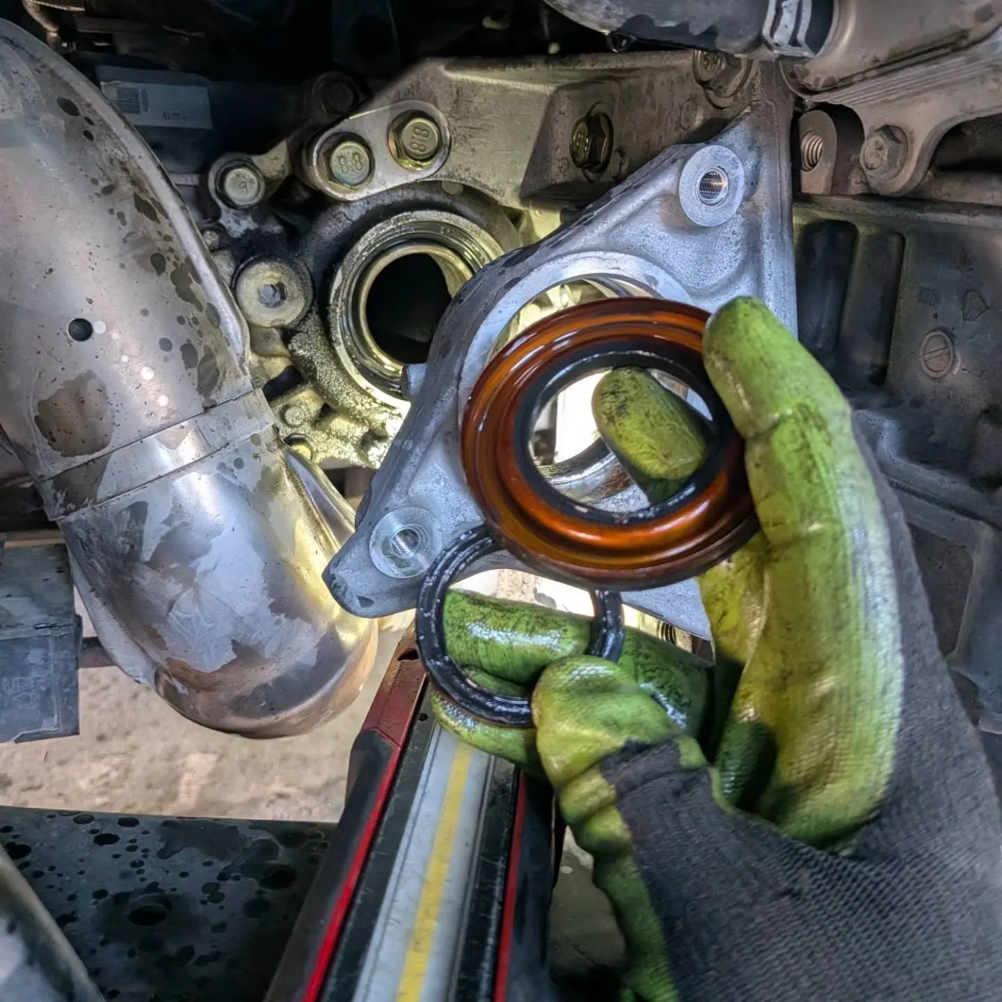 New engine seals and O-rings before installation at Alaniz Complete Automotive
